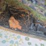 Model Railway Set Image 6