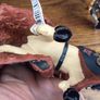 Papo Fantasy war horse with warrior Knight Soilder Image 7