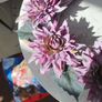 Door Wreath Image 3