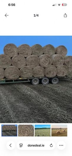 Haybob for xx sale