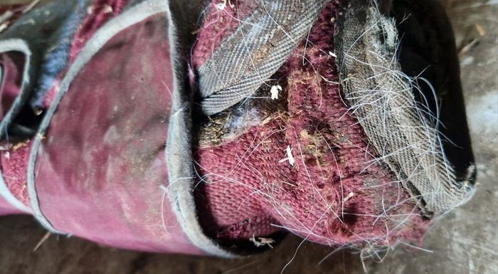 Tackroom clearout