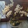 Artificial orchid plant in stone bowl Image 3