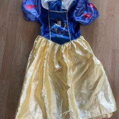 Snow White costume