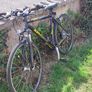 Kelly Bike Image 2