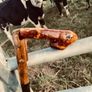 Unique handcrafted Antique Cane Image 3