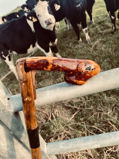 Unique handcrafted Antique Cane