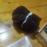 hair styling items Image 8