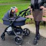 Egg2 stroller Image 9