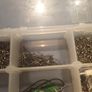 larg box of all sea tackle Image 4