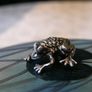 John Ditchfield Glasform Iridescent Lily Pad, Silver Frog, Signed with sticker Image 3