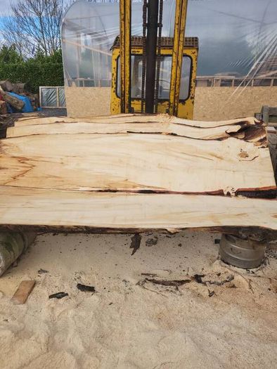 Hardwood timber