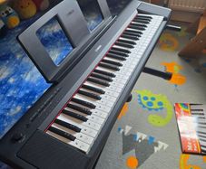 Yamaha NP-15 Standard Keyboard with Stand, Bench, Headphones and Learner Book as well| Black
