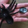Halloween stick on spiders Image 5