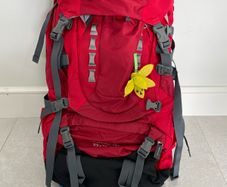 Deuter Rucksack Backpack - Brand New