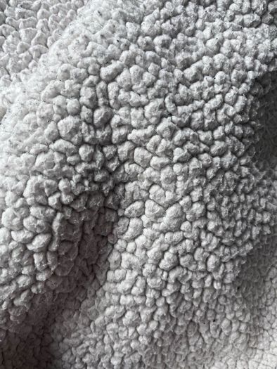 Blanket