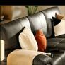 Sofa Image 5