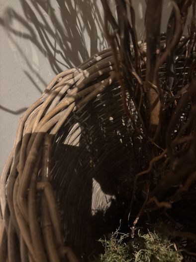 Very tall rattan planter with contorted willow