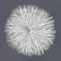 Cosmo-B