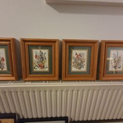Set of 4 framed botanical flower