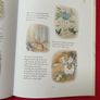 Peter Rabbit / Mickey Mouse books Image 3