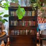 1920s Barrister's Bookcase Image 2