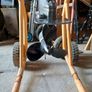 Suzuki 4hp 2 stroke SS Outboard Image 6