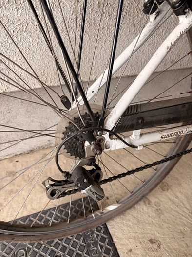 apollo elyse ladies bike
