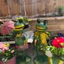 Flower Pots Image 2