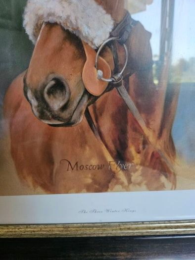 Trio of Racehorses