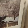 Large picture New York Central park Image 5