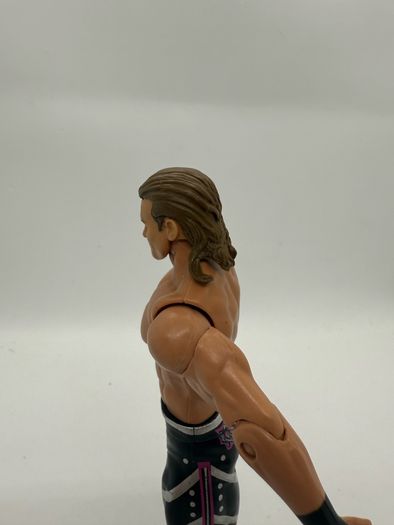 wwe Dolph Ziggler action figure