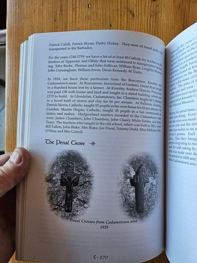 AT The Foot Of The Slieve Bloom. History Of Folklore Of Cadamstown. By Paddy Heaney. First Edition Large Volume Hardback 370 pages In Good Condition.  See Photos For Same.