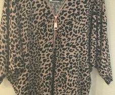 New Quiz Top