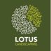 lotuslandscaping
