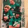 Ireland Rugby Programmes Image 6