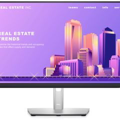 Dell 24 Monitor - P2422H