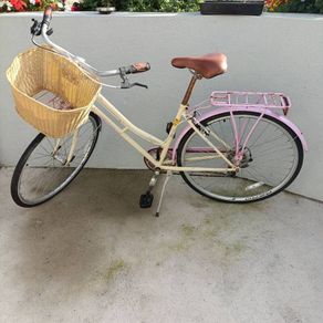 2 Ladies Dawes 7 gear bike with basket