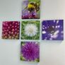 Macro images of Nature on removable foam tiles Image 3
