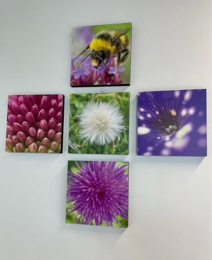 Macro images of Nature on removable foam tiles