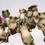 Beautiful frog collection Image 2