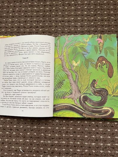 Kids Book in Russian animal story