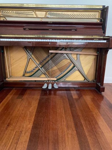 Hoffmann and Kuhne - Piano