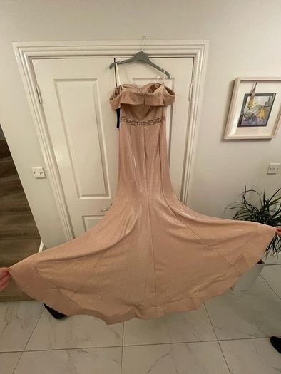 Rosie Closet Rose Gold Debs/Occasion dress Reduced