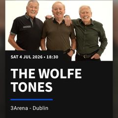 Wolfe Tones concert.