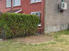 gardening and Landscaping services Image 6