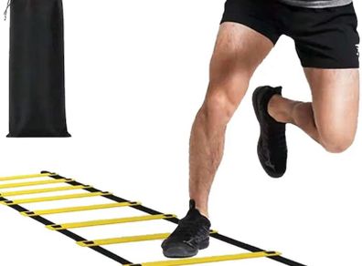 Agility and speed ladder