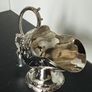 Silver plated sugar scuttle with scoop Image 3