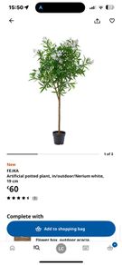 Fejka plant Ikea , x2