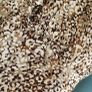 ZARA cream printed dress Sz S (Fit 8UK) - Bnwt Rrp 59.99 Image 7