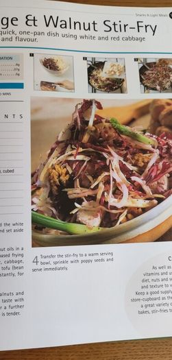 Practical Vegetarian Cookery: Exploring Vegetarian Cuisine Through Literary Lens